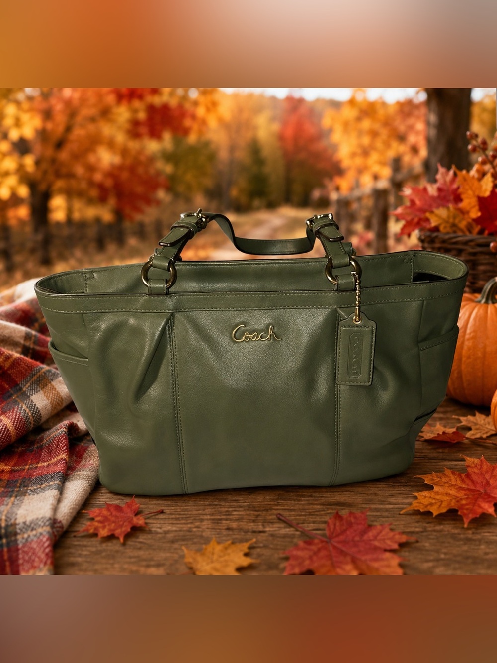 Coach Gallery East West Pleated Tote Bag